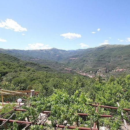 Agriturismo Nonni Devia Lucinasco Ngoại thất bức ảnh