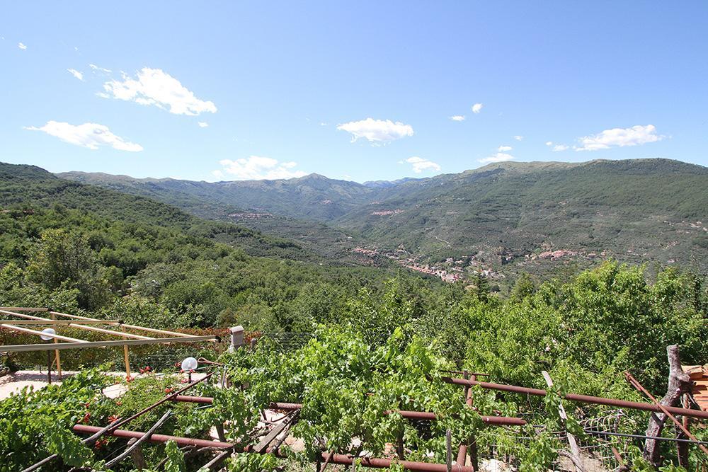 Agriturismo Nonni Devia Lucinasco Ngoại thất bức ảnh